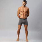Men Lifestyle Charcoal Grey Core Boxer Brief