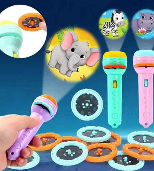 Projector Flashlight Torch with 3 Reels 24 Pattern-Space Animal & Foods