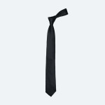 Textured Microfiber Mens Party Wear Neck Tie